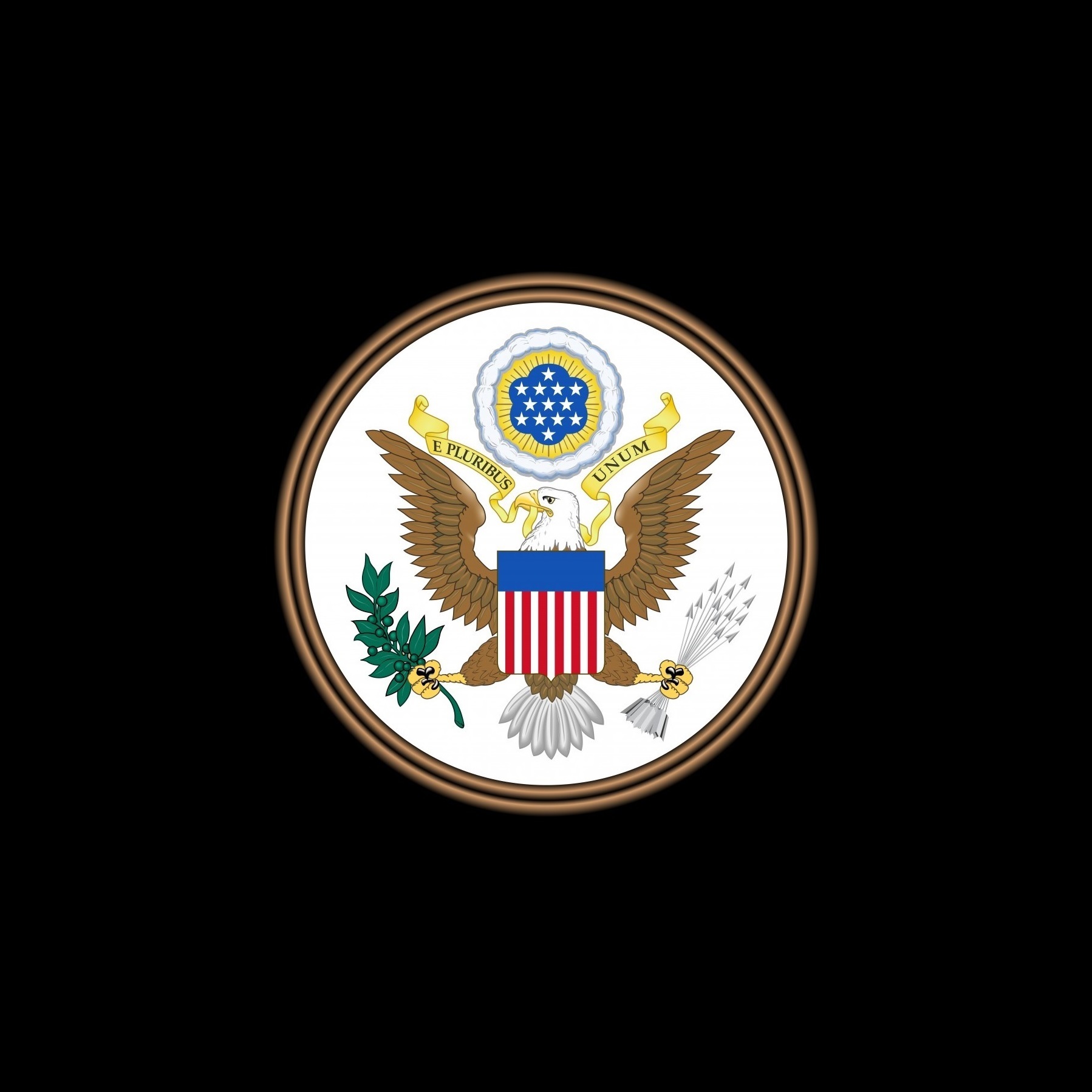 Seal of US Government